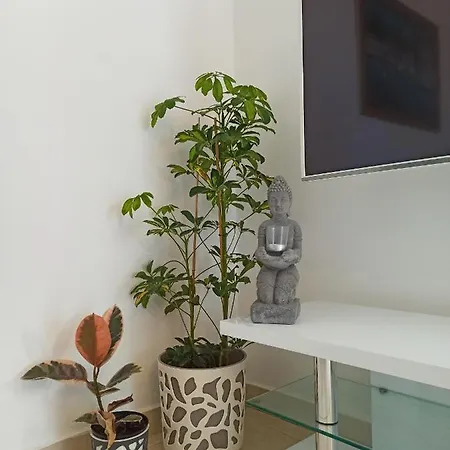 Apartament Kristy